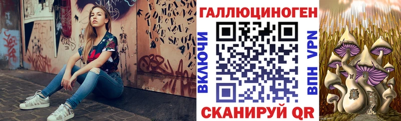 МЕГА вход  Коркино  Псилоцибиновые грибы ЛСД 