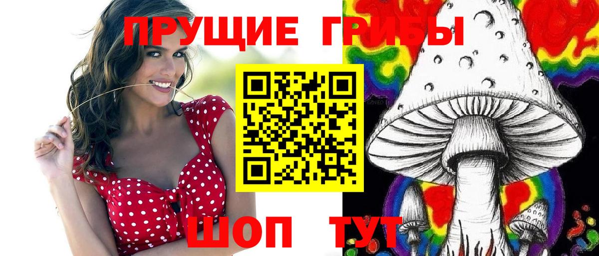 Коркино  Галлюциногенные грибы прущие грибы  Вход с VPN 